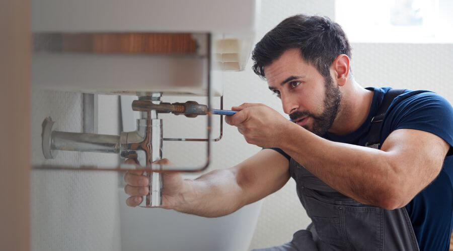 Trap Repair/Replacement in Eastpointe, MI